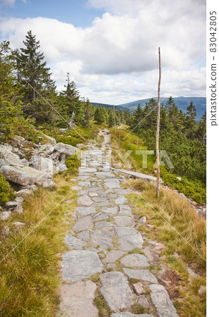 Trail in Karkonosze (Giant Mountains), Czech Republic. Trail in Karkonosze (Giant Mountains), Czech Republic. 83042805