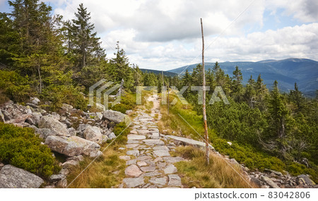 Trail in Karkonosze (Giant Mountains), Czech Republic. 83042806