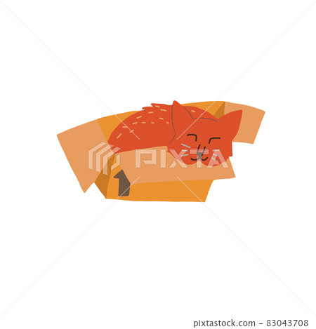 Cute hygge cat sleeping in box sticker social media 83043708