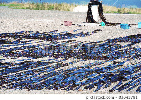 Morning scenery of kelp fishing 83043781