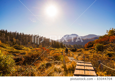 秋葉——樋內山的木棧道 秋葉——樋內山的木棧道 83044704