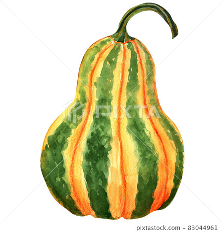 Hand drawn watercolour, green with orange pumpkin, isolated on white. Isolated object. Hand drawn watercolour, green with orange pumpkin, isolated on white. Isolated object. 83044961