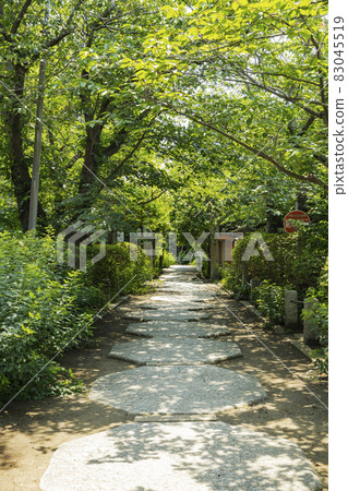 Hokaiji Temple　 83045519