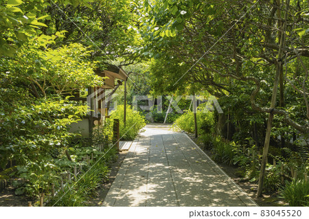 Hokaiji Temple　 83045520