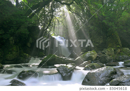 Aso / Meotodaki "Otokotaki" and light beam Aso / Meotodaki "Otokotaki" and light beam 83045618