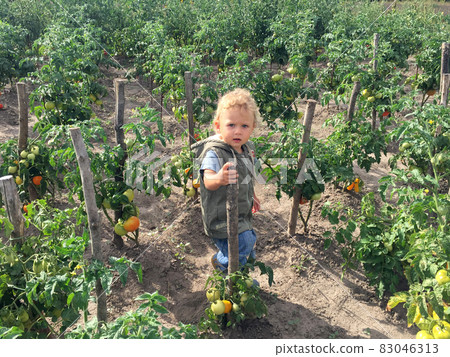 Beautiful baby boy with child face posing photographer 83046313