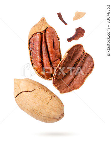 Pecan whole and pieces drops on a white background, cut. Isolated Pecan whole and pieces drops on a white background, cut. Isolated 83046553