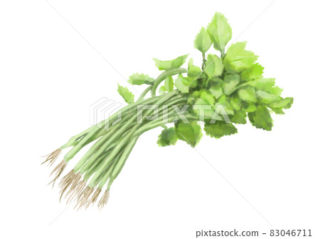 A bunch of three leaves A bunch of three leaves 83046711