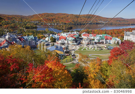 Aerial view of Mont Tremblant resort, funiculars and lake with autumn color leaf, Quebec, Canada 83046998
