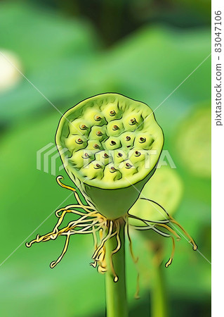 Pastel-like "Has flower core cup" illustration image 83047106