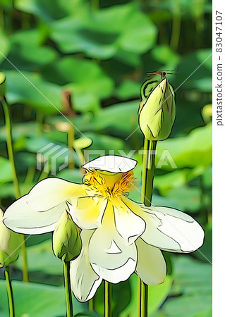 Pastel-like "Has flower core cup" illustration image 83047107