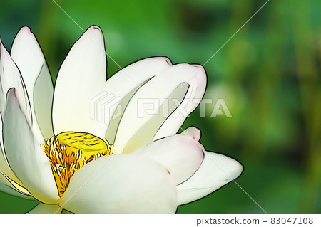 Pastel-like "Hasu no Hana" illustration image 83047108