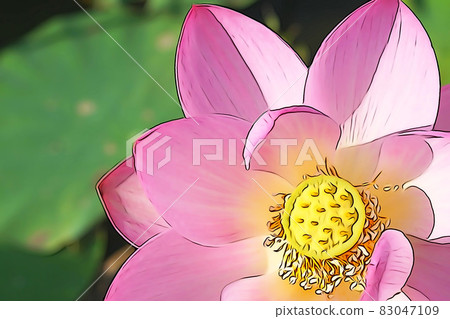 Pastel-like "Hasu no Hana" illustration image Pastel-like "Hasu no Hana" illustration image 83047109