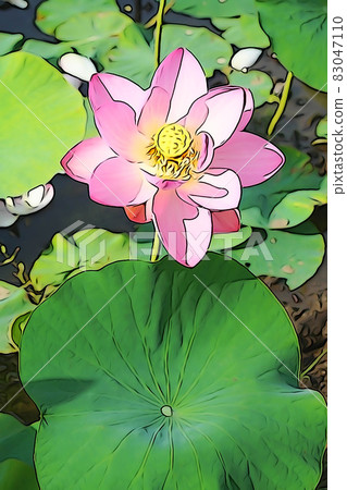 Pastel-like "Hasu no Hana" illustration image 83047110