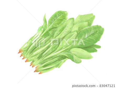 Hand-painted spinach 83047121