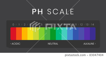 pH value scale chart for acid-alkaline solution. Acid-base balance infographic isolated on white background. Indicator for concentration of hydrogen ion in solution. Vector illustration pH value scale chart for acid-alkaline solution. Acid-base balance infographic isolated on white background. Indicator for concentration of hydrogen ion in solution. Vector illustration 83047404