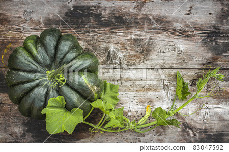 Green variety of pumpkin wooden countertop, top view. Green variety of pumpkin wooden countertop, top view. 83047592