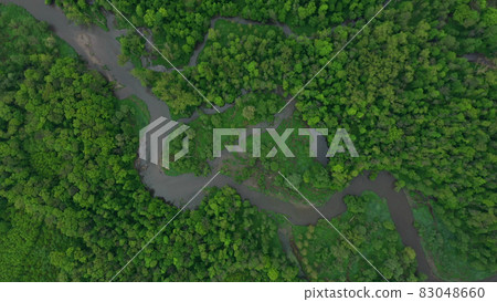 Meanders river delta river dron aerial video shot inland in floodplain forest and lowlands wetland swamp, quadcopter view flying fly flight show, protected landscape area of Litovelske Pomoravi 83048660