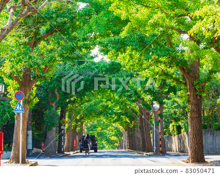 安靜的住宅區 Denenchofu 83050471