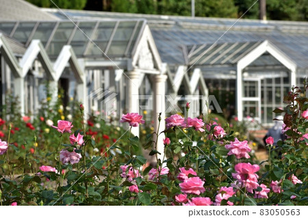 伊麗莎白女王 2110 下午 14 點 2:58-2 伊麗莎白女王 2110 下午 14 點 2:58-2 83050563