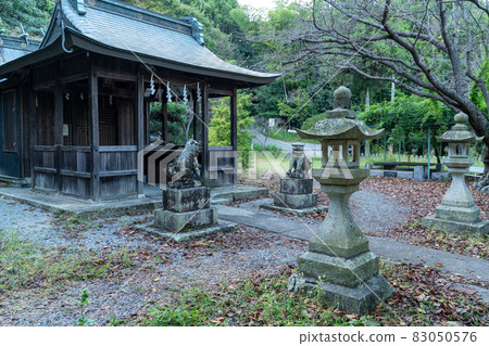 龍岡山的風景 龍岡山的風景 83050576