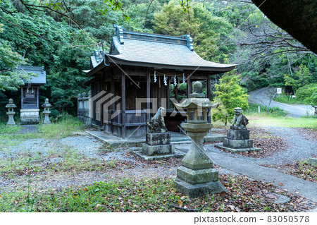 龍岡山的風景 龍岡山的風景 83050578