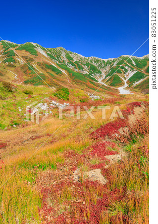 Toyama_Scenic view of Tateyama autumn leaves 83051225