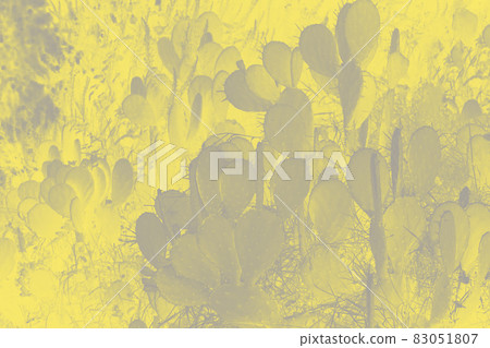 Trendy color of the year 2021. Ultimate grey and illuminating yellow.. Trendy color of the year 2021. Ultimate grey and illuminating yellow.. 83051807