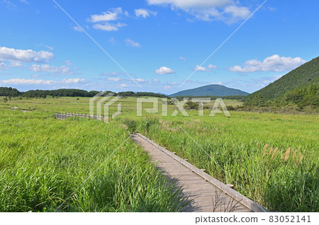 夏天不停的荒野 夏天不停的荒野 83052141