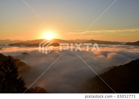 野坂川村的雲海 83052771