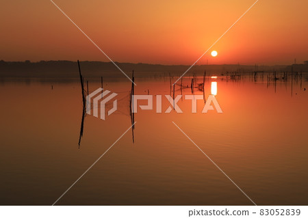 因波沼的風景和日出 因波沼的風景和日出 83052839
