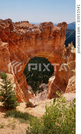 American Nature / Bryce Canyon National Park. Natural bridge. American Nature / Bryce Canyon National Park. Natural bridge. 83053541