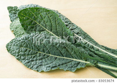 Harvested lacinato kale 83053674