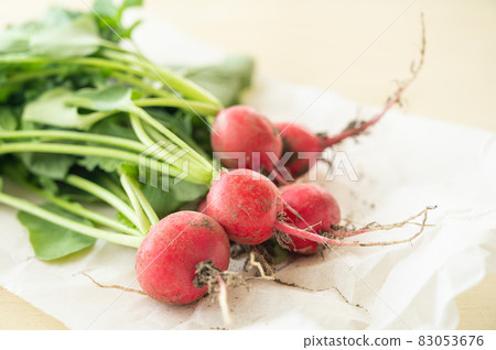 剛摘的蘿蔔 剛摘的蘿蔔 83053676