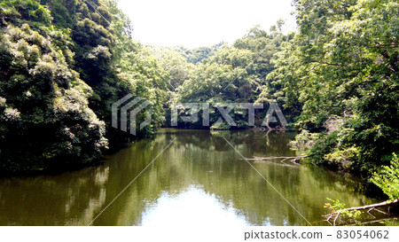 Lake Kamakura in Kamakura Lake Kamakura in Kamakura 83054062