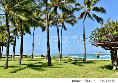 Holidays in Hawaii Holidays in Hawaii 83054710