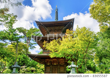 東京都世田谷區豪德寺 東京都世田谷區豪德寺 83055587