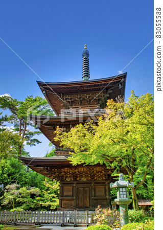 東京都世田谷區豪德寺 83055588