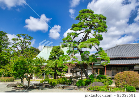 東京都世田谷區豪德寺 東京都世田谷區豪德寺 83055591