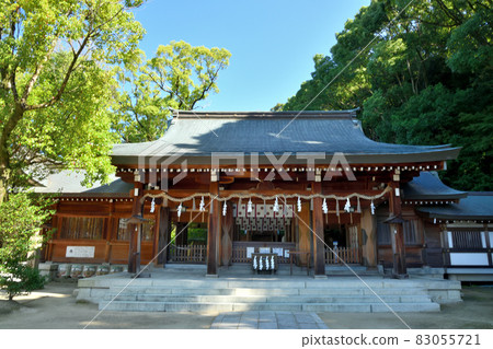 四條手神社【大阪府四條手市南野】 83055721