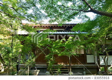 Ryubiji Temple [Minamino, Shijonawate City, Osaka Prefecture] 83055918