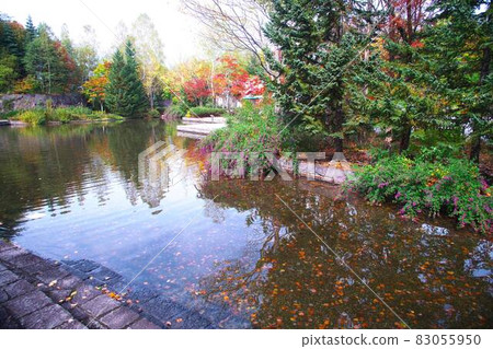 在深秋的夜光閃閃發光 在深秋的夜光閃閃發光 83055950