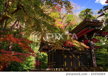 鎌倉八幡宮 鎌倉八幡宮 83056064