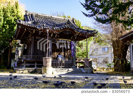 Kamakura Hiruko Shrine Autumn scenery 83056073