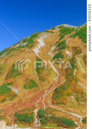 Toyama_superb view of Tateyama Murodo autumn leaves 83056328