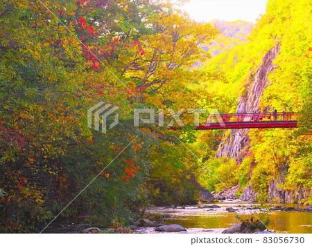 Futami Suspension Bridge dyed in late autumn Futami Suspension Bridge dyed in late autumn 83056730