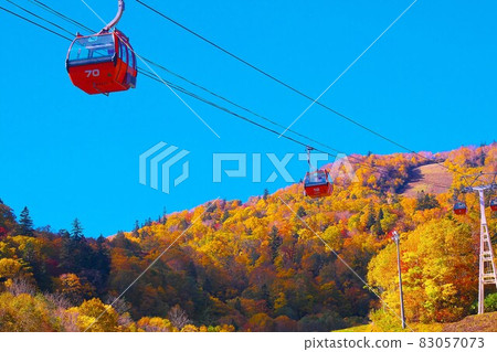 Autumn leaves gondola at Sapporo Kokusai Ski Resort 83057073