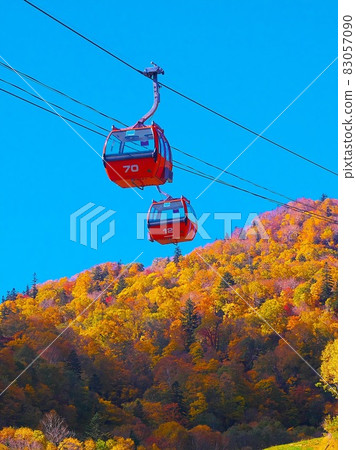 札幌國際滑雪場秋葉纜車 83057090
