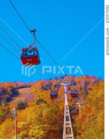 札幌國際滑雪場秋葉纜車 83057092