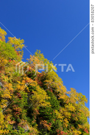 Toyama_Scenic view of Daikanbo autumn leaves Toyama_Scenic view of Daikanbo autumn leaves 83058207